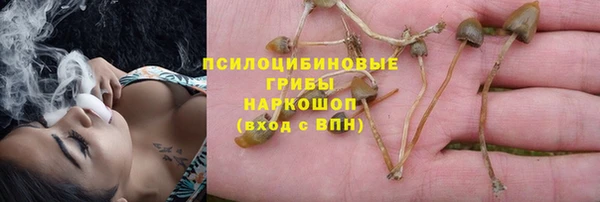 PSILOCYBIN Няндома