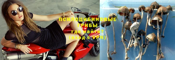 спиды Алзамай