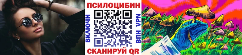 Псилоцибиновые грибы Psilocybe  Сосновый Бор 