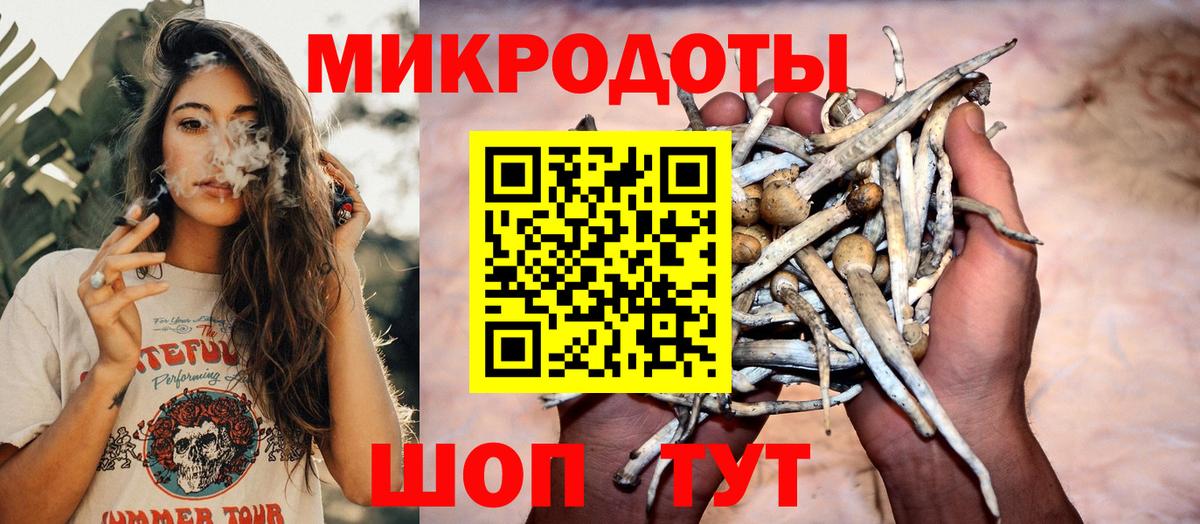 Псилоцибиновые грибы GOLDEN TEACHER Сосновый Бор