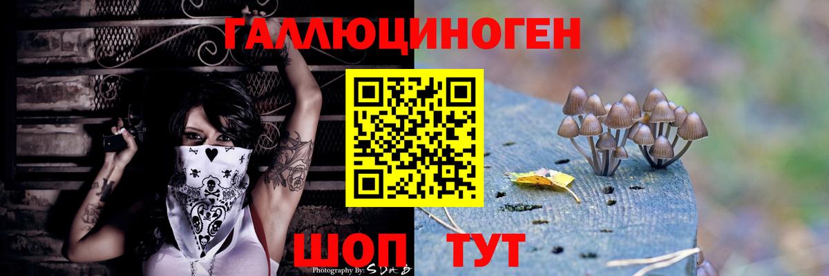 как найти   Вход с VPN  Галлюциногенные грибы Cubensis  Сосновый Бор  Псилоцибиновые грибы ЛСД 
